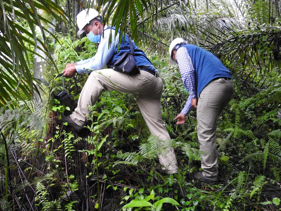 Equipo realiza inventario de flora en el bosque