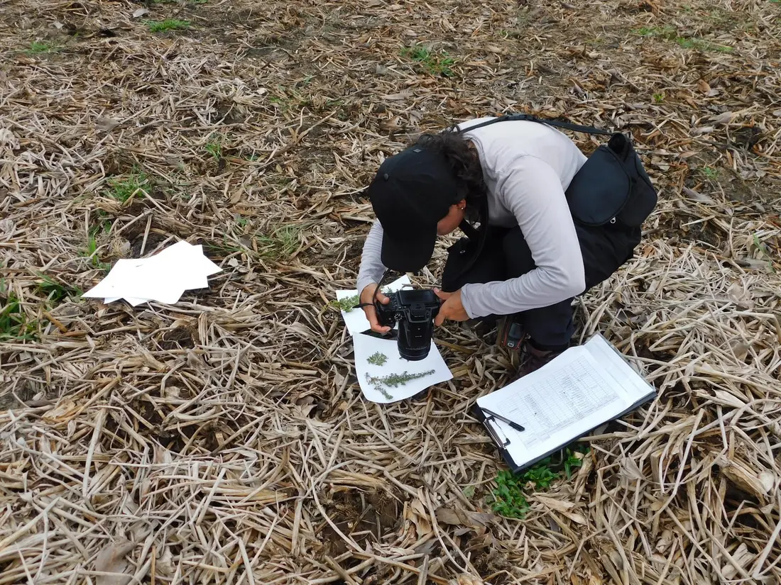Profesional toma muestras y registra datos en campo