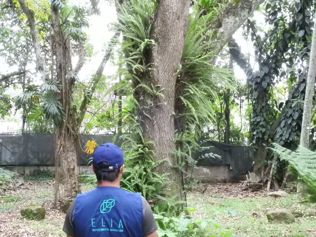 Profesional de ELIA con el chaleco de la agencia