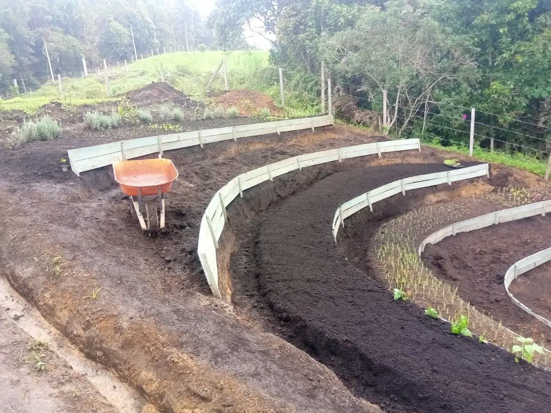 Construcción de terrazas con bordes curvos