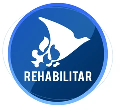 Rehabilitar